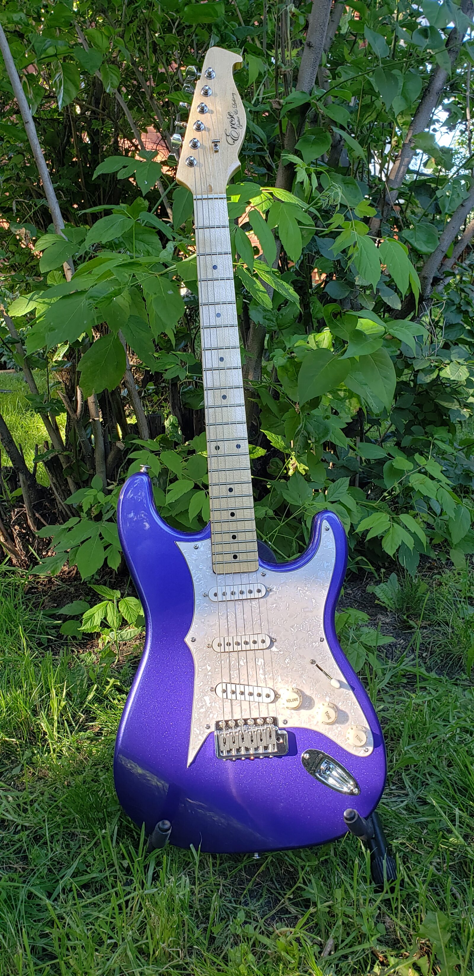 Guitars for Sale Ercse Guitar & Luthiery